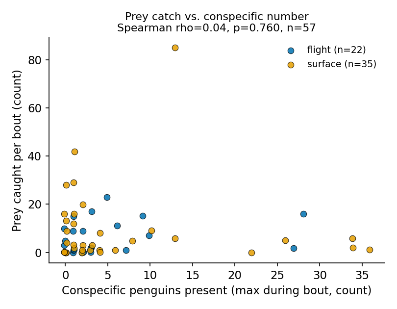 Figure 2 (fig-2) from Prey-catch counts of a volant seabird are unrelated to interaction mode or conspecific-penguin number during foraging bouts