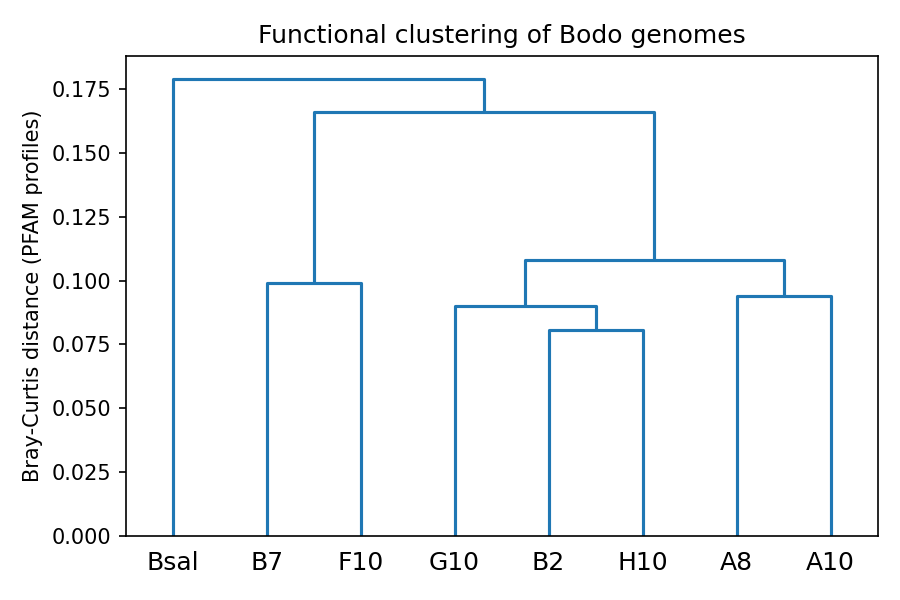 Figure 1 (fig-1) from Do single-cell Bodo genomes form a functional group distinct from the reference? A PFAM-domain divergence analysis