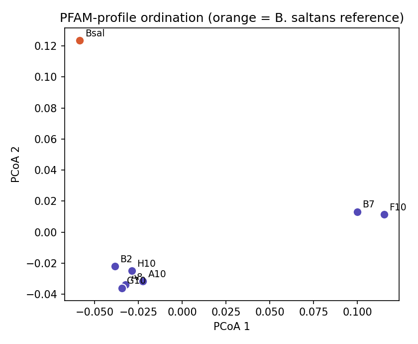 Figure 2 (fig-2) from Do single-cell Bodo genomes form a functional group distinct from the reference? A PFAM-domain divergence analysis