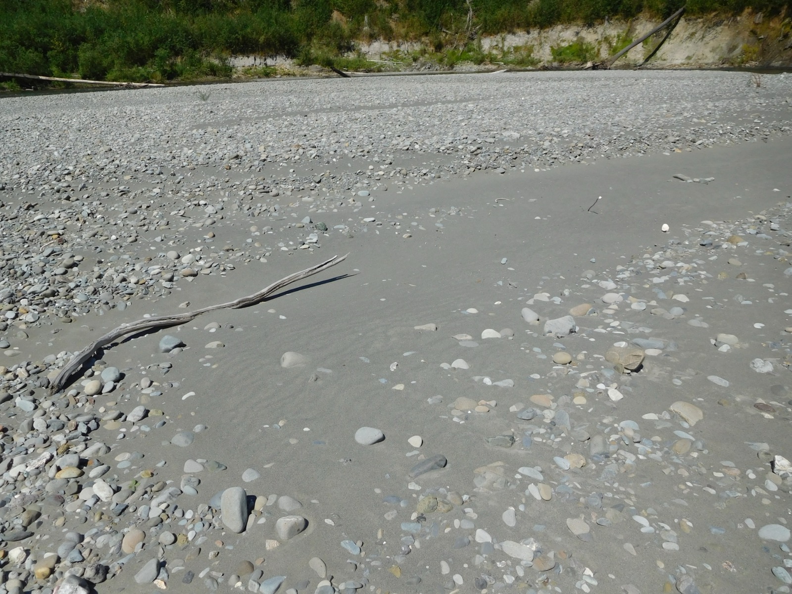 The exposed bed of the former Lake Mills reservoir behind the removed Glines Canyon Dam, revegetating two years after removal