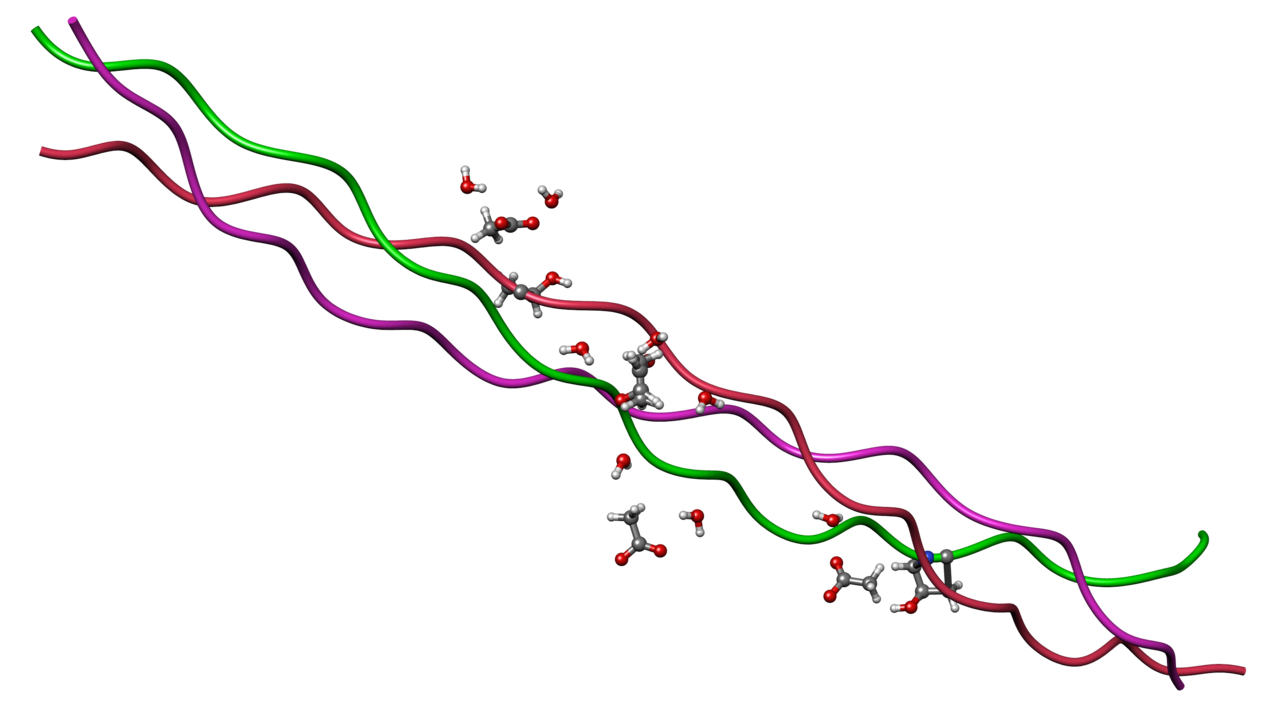 Diagram of collagen's triple-helical protein structure, showing three polypeptide chains wound together.
