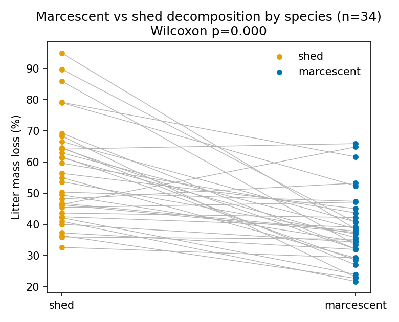 Figure 1 (fig-1) from Marcescent plant litter decomposes more slowly than shed litter, and the slow-down is concentrated in forbs