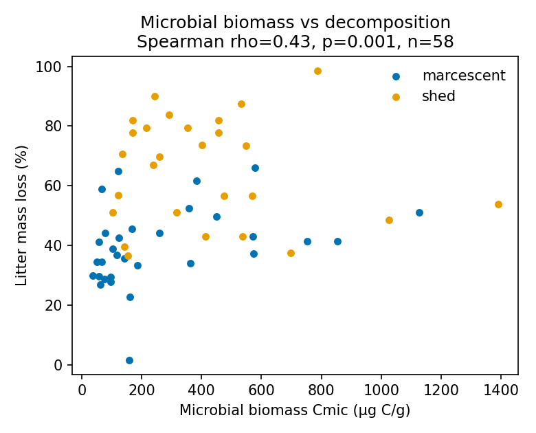 Figure 3 (fig-3) from Marcescent plant litter decomposes more slowly than shed litter, and the slow-down is concentrated in forbs